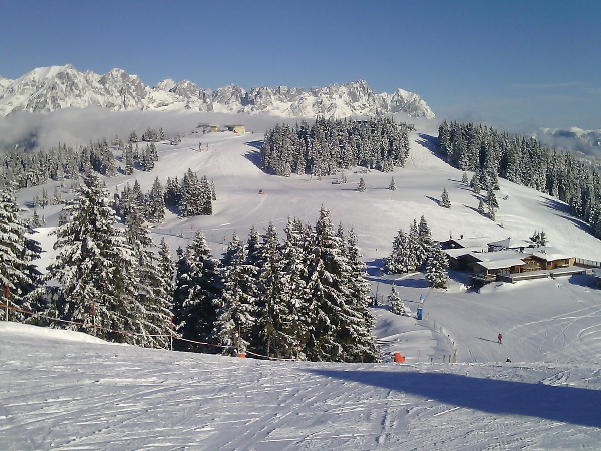 Pension Und Appartements Hartkaiser เอลล์เมา ภายนอก รูปภาพ